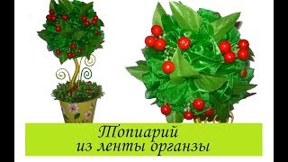 Топиарий из широкой ленты органзы: подробный видео мастер-класс /Топиарий МК своими руками