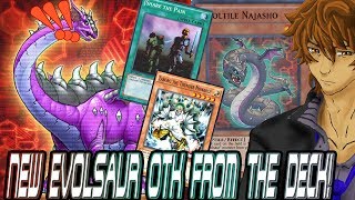 NEW EVOLSAUR TRIBUTE TO OTK FROM THE DECK! | YuGiOh Duel Links