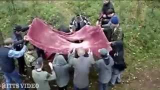Нарезка приколов с деревьями. Смотреть обязательно.