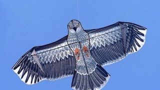 Мой купленный воздушный змей на лето, прикольный и большой