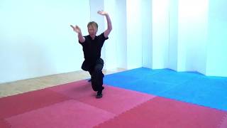 Learn Choy Li Fut Kung Fu | Ping Kuen form.