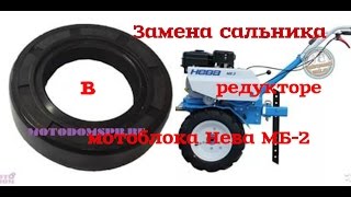 Сломался мотоблок Нева МБ-2 или Как поменять сальник в редукторе Мотоблока Нева МБ-2