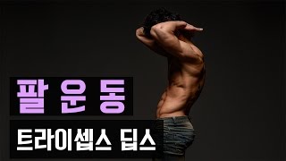 [삼두운동] 트라이셉스 딥스