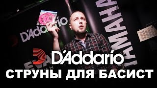 Струны D'Addario для басиста. Юрий Малеев.