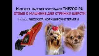 Отзыв: Алла Анатольевна, машинка Codos CP-8000, порода - йоркширский терьер, чихуахуа
