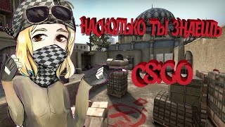 НАСКОЛЬКО ТЫ ХОРОШО ЗНАЕШЬ CS:GO|MUSLI_DARII