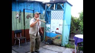 Антошка, Антошка пойдём копать ЧЕСНОК. Shorts!