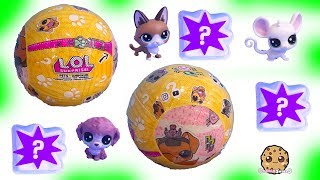 LOL Surprise Pets + LPS Littlest Pet Shop - Cookie Swirl C Toy Video