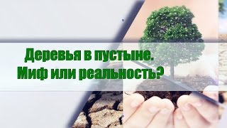 Дыхание жизни.Деревья в пустыне. Миф или реальность? Научные разработки, новые технологии будущего.