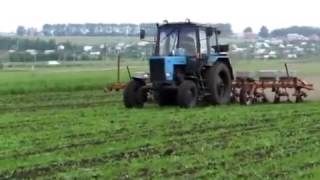 Трактор МТЗ-82.1 на обработке кукурузы