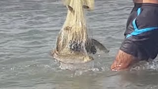 Serpme ile balık avı 2(Adam işi biliyor)