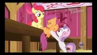 My Little Pony Flight to the Finish Song HD