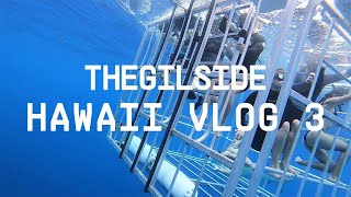 SWIMMING WITH SHARKS IN HAWAII l The Gil Side