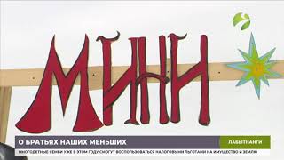 В Лабытнанги построят приют для бездомных животных.