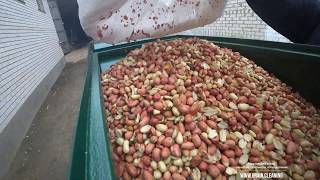 Сепаратор аэродинамический  Очистка арахиса