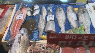후쿠시마 수산물 수입금지 1심 패소…수입재개 우려 / 연합뉴스TV (YonhapnewsTV)