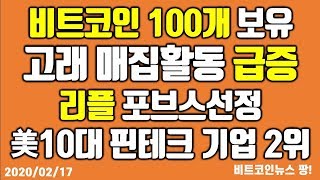 비트코인 100개 보유 고래 매집 활동 뚜렷하게 증가 / 스팀잇 트론에 매각되나? #비트코인 #이더리움 #리플