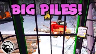 Whole Lotta Processing | Farming Simulator 2017 | Logging & Forestry #57