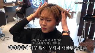 탈색머리 핑크퍼플 염색하기!