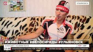 Кот стал членом клуба велосипедистов в Ульяноской области