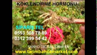 KÖKLENDİRME HORMONU,KÖKLENDİRME HORMONU,sıvı köklendirme hormonu,sıvı ıba, köklendirme
