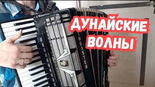 ДУНАЙСКИЕ ВОЛНЫ НА АККОРДЕОНЕ ( КАВЕР ) НОВИНКА!