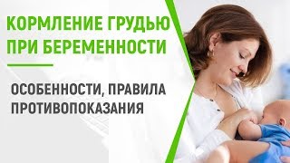 Кормление грудью при беременности: правила и противопоказания