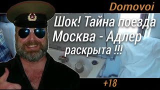 Шок! Тайна поезда Москва Адлер раскрыта!  Поездка на море | Domovoi