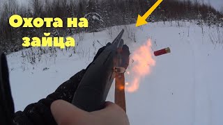 Охота на зайца. Охота с гончей 2020. МР-155.