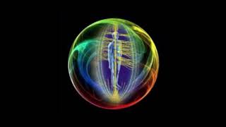 Балансировка ЭМП/EMF Balancing Technique®: Что такое сердцевинная энергия