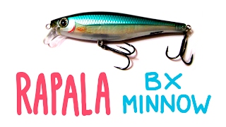 Rapala BX Minnow BXM10| Fishing Lures Review | Обзор воблера