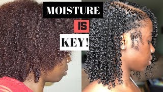 TIPS 2 ACHIEVE MOISTURIZED NATURAL HAIR | Lets Talk About Sum REAL Moisture | Healthy Journey Series