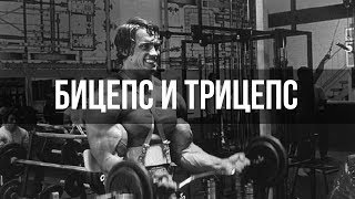 Мышцы антагонисты и тренировка рук. Тренировка бицепса и трицепса.