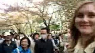 Hanami in Ueno Park