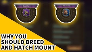 Why you should Focus on Mount Breeding and Hatching in Taichi Panda 3