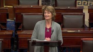 Senator Murkowski Speaks on the Senate Floor on the Ted Stevens Arctic Center for Security Studies