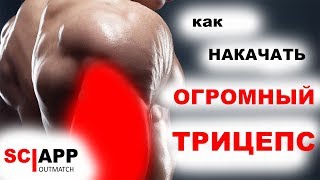 Как Накачать Большой ТРИЦЕПС Уже ЧЕРЕЗ 3 НЕДЕЛИ | Джефф Кавальер