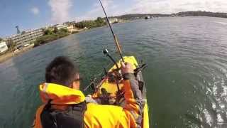 Merimbula Kayak Fishing December 2014