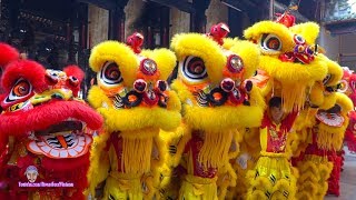 Múa Lân 2020 : Khai Quang Điểm Nhãn Lân Sư Rồng / LSR Tâm Hoa Đường