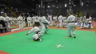 Ката командное 19-21. Чемпионат Европы по Фудокан каратэ 2015