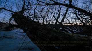 Файсал Ар-Рушуд - Сад (Полная) HD