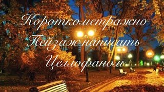Короткометражно Пейзаж написать Целлофаном в технике жидкое масло.