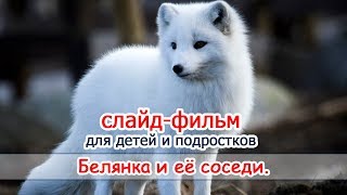 "Белянка и её соседи" - слайд для детей и подростков о песцах. Новинка 2018. МСЦ ЕХБ