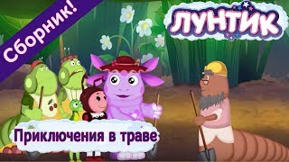 Лунтик ? Приключения в траве ? Сборник мультфильмов 2017