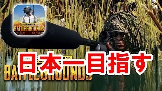 【PUBG MOBILE】KR/JPサーバー ソロ