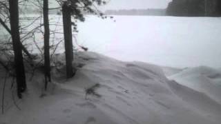 испытание самодельного вездехода 2 вид из кабины