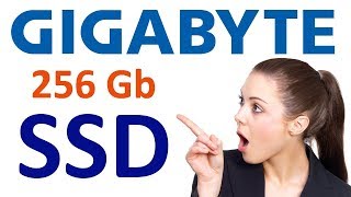SSD диск GIGABYTE 2.5" UD PRO 256 Гб SATA III Toshiba BiCS3 3D TLC