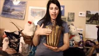 The Good the Bad and the Udderly Video Newsletter Episode 8 The Danni App