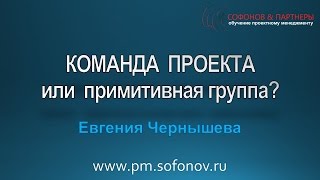 Команда проекта или примитивная группа?