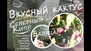 Северный Кипр - Колючая груша, #бабуца, опунция, да как хотите, все-равно это вкусный #кактус.